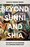 Cover for 

Beyond Sunni and Shia






