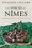 Cover for 

The Voices of Nîmes






