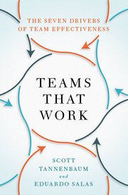 Cover for 

Teams That Work






