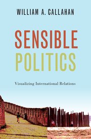 Cover for 

Sensible Politics






