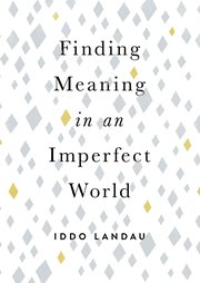 Cover for 

Finding Meaning in an Imperfect World






