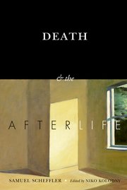 Cover for 

Death and the Afterlife






