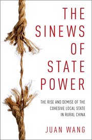 Cover for 

The Sinews of State Power






