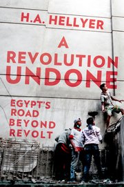 Cover for 

A Revolution Undone






