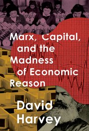 Cover for 

Marx, Capital, and the Madness of Economic Reason






