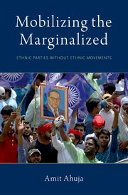 Cover for 

Mobilizing the Marginalized






