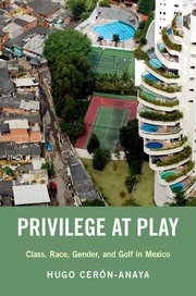 Cover for 

Privilege at Play






