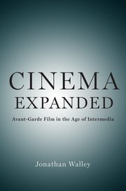 Cover for 

Cinema Expanded






