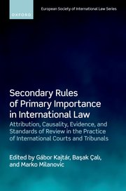Cover for 

Secondary Rules of Primary Importance in International Law






