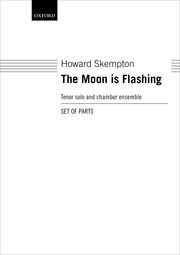 Cover for 

The Moon is Flashing






