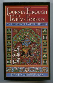 Cover for 

Journey through the Twelve Forests






