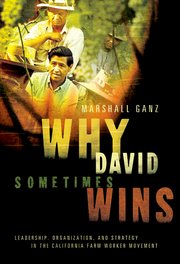 Cover for 

Why David Sometimes Wins






