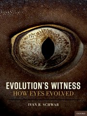 Cover for 

Evolutions Witness






