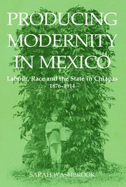 Cover for 

Producing Modernity in Mexico






