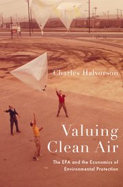 Cover for 

Valuing Clean Air






