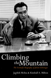 Cover for 

Climbing the Mountain






