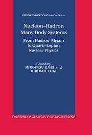 Cover for 

Nucleon-Hadron Many-Body Systems






