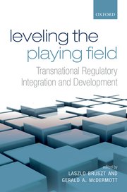 Cover for 

Leveling the Playing Field






