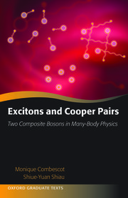 Cover for 

Excitons and Cooper Pairs






