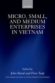Cover for 

Micro, Small, and Medium Enterprises in Vietnam






