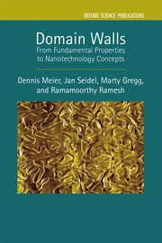 Cover for 

Domain Walls






