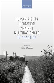Cover for 

Human Rights Litigation against Multinationals in Practice






