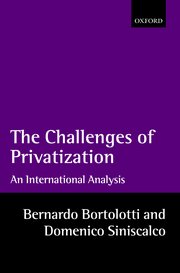 Cover for 

The Problems of Privatization







