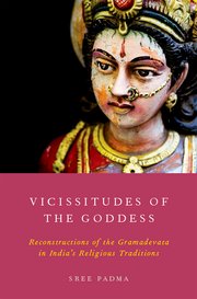Cover for 

Vicissitudes of the Goddess






