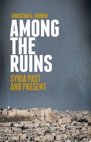 Cover for 

Among the Ruins






