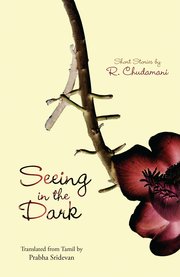 Cover for 

Seeing in the Dark






