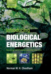 Cover for 

Introducing Biological Energetics






