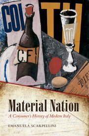 Cover for 

Material Nation






