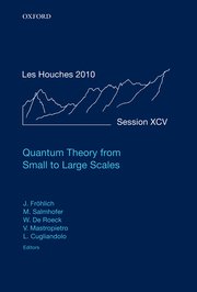 Cover for 

Quantum Theory from Small to Large Scales






