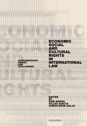 Cover for 

Economic, Social, and Cultural Rights in International Law






