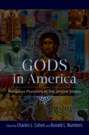 Cover for 

Gods in America






