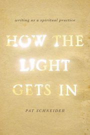Cover for 

How the Light Gets In







