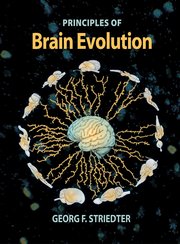 Cover for 

Principles of Brain Evolution






