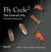 Cover for 

Fly Cycle 2






