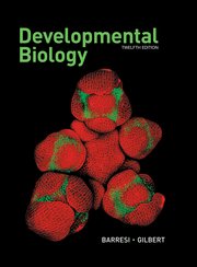 Cover for 

Developmental Biology






