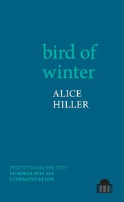 Cover for 

bird of winter






