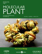 Cover for Molecular Plant