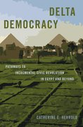 Cover for Delta Democracy
