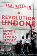 Cover for A Revolution Undone