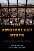 Cover for The Ambivalent State