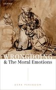 Cover for Wrongdoing and the Moral Emotions