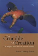Cover for The Crucible of Creation
