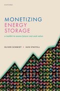 Cover for Monetizing Energy Storage