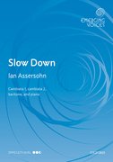 Cover for Slow Down
