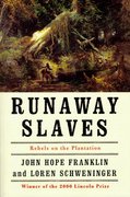 Cover for Runaway Slaves