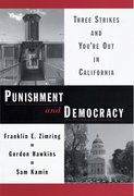 Cover for Punishment and Democracy